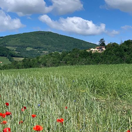 Belle Vue Savigny (Rhone) Exterior foto