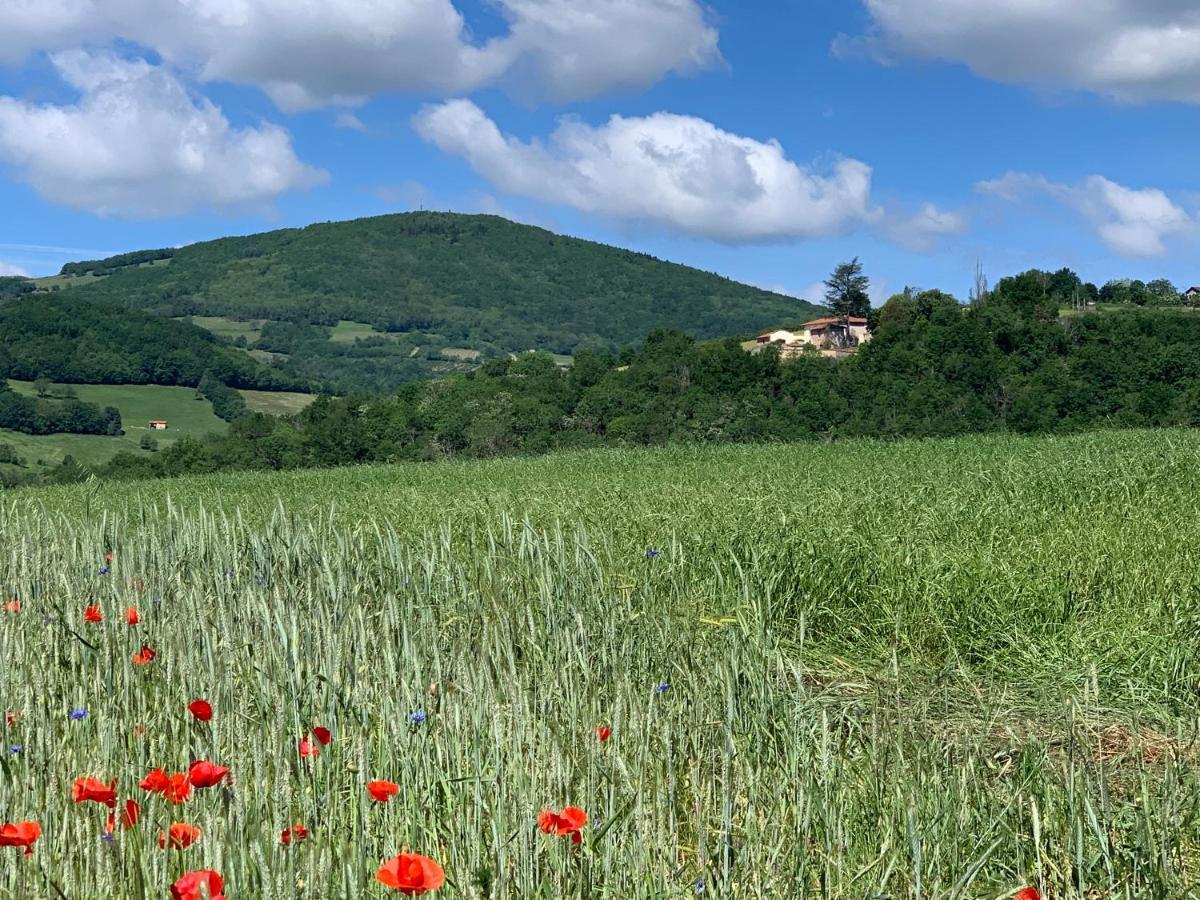 Belle Vue Savigny (Rhone) Exterior foto