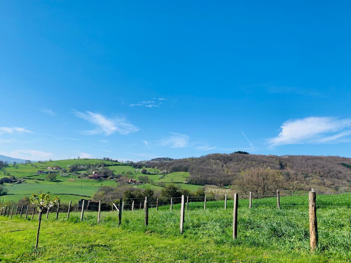 Belle Vue Savigny (Rhone) Exterior foto